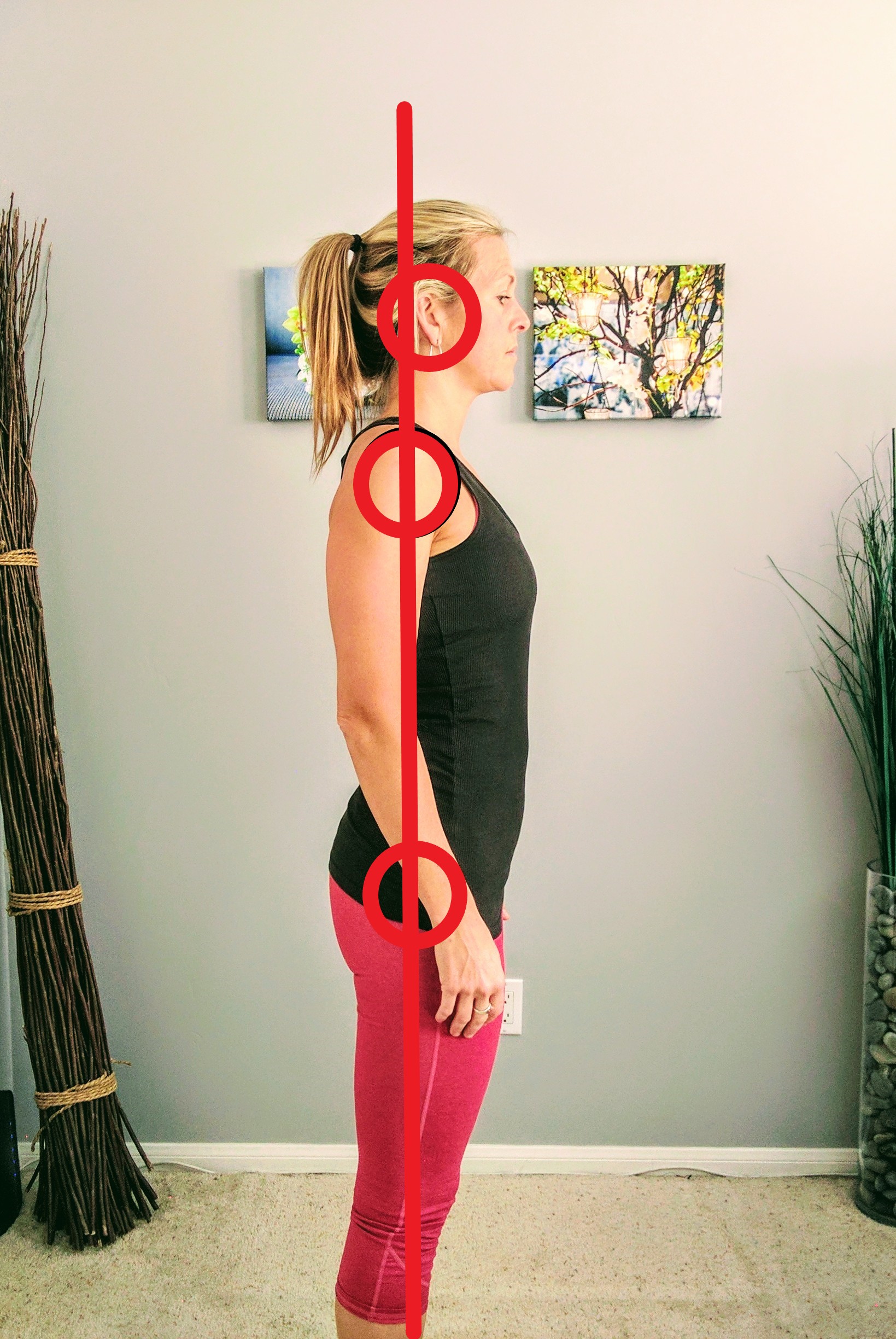 Plumbline Method Plumb Line Posture Assessment , Assessing and Improving Static Posture ...